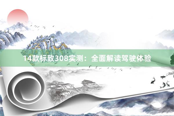 14款标致308实测：全面解读驾驶体验